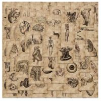 Scrapbooking samolepky lidské anatomie - 56 kusů