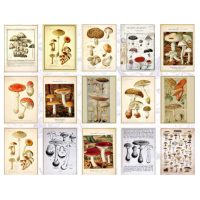 Scrapbooking dekorativní papír v bločku - Typ C, 60 kusů