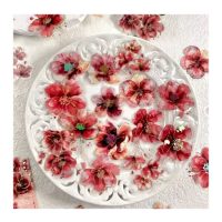 Scrapbooking květinové samolepky - Červené, 20 kusů