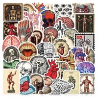 Scrapbooking anatomické samolepky - 50 kusů