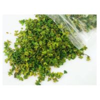 Scrapbooking umělé miniaturní listí - Číslo 1, zelená