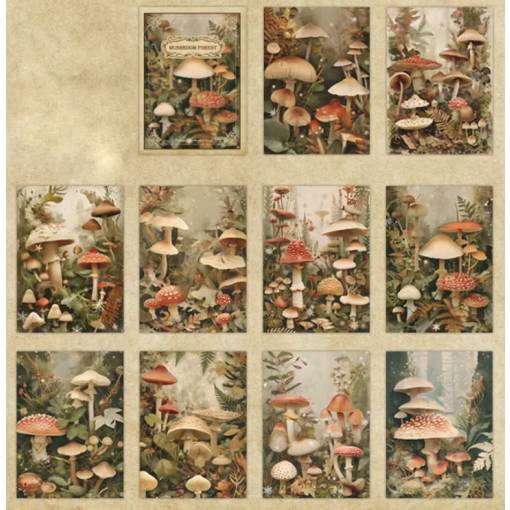 Foto - Scrapbooking blok dekorativních papírů - Houby, 20 kusů