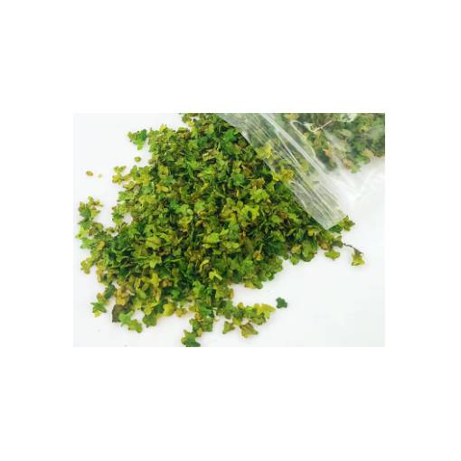 Foto - Scrapbooking umělé miniaturní listí - Číslo 1, zelená