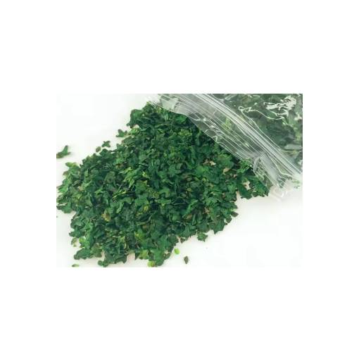 Foto - Scrapbooking umělé miniaturní listí - Číslo 2, tmavě zelená