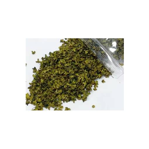 Foto - Scrapbooking umělé miniaturní listí - Číslo 7, olivově zelená