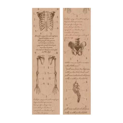 Foto - Scrapbooking Vintage lepící páska - Anatomie těla, 01